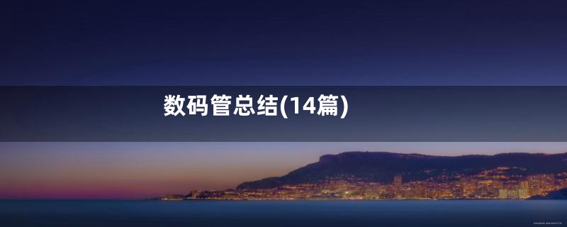 数码管总结(14篇)
