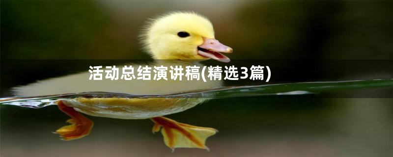 活动总结演讲稿(精选3篇)
