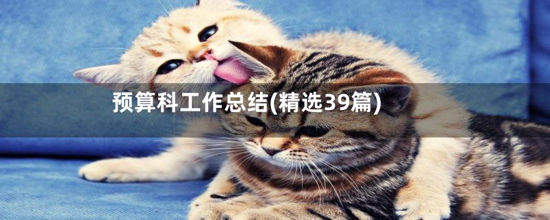 预算科工作总结(精选39篇)