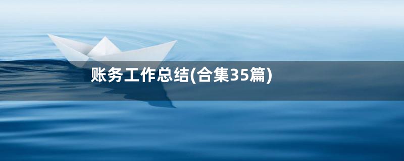 账务工作总结(合集35篇)