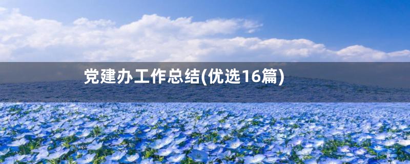党建办工作总结(优选16篇)