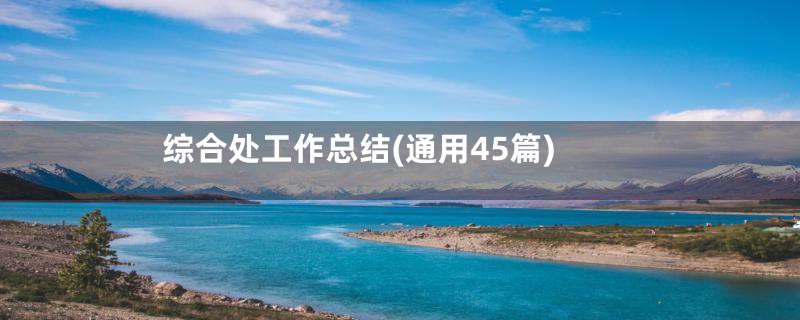 综合处工作总结(通用45篇)