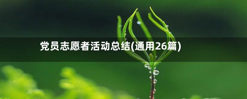 党员志愿者活动总结(通用26篇)