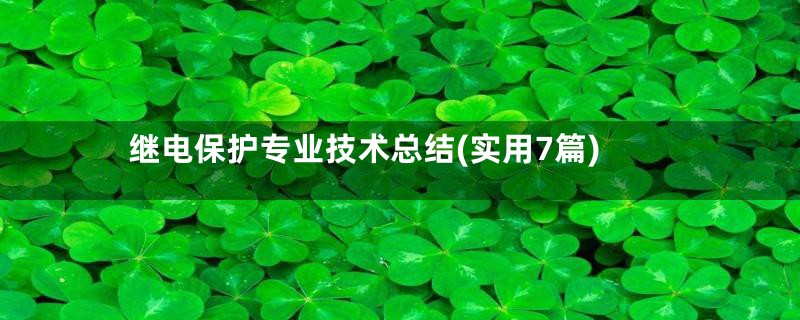 继电保护专业技术总结(实用7篇)