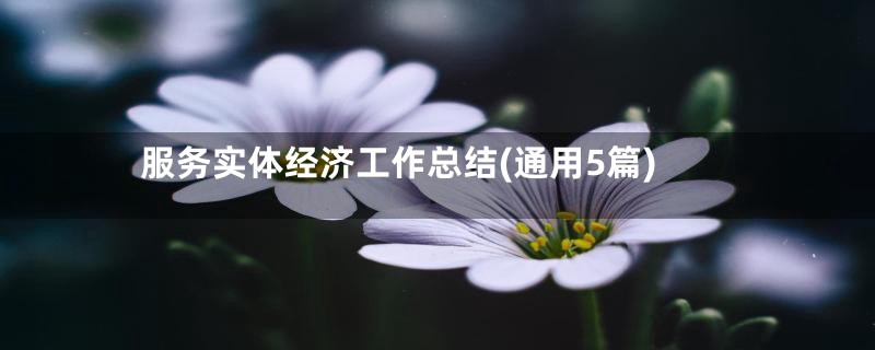 服务实体经济工作总结(通用5篇)