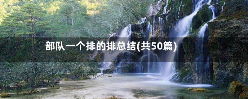 部队一个排的排总结(共50篇)