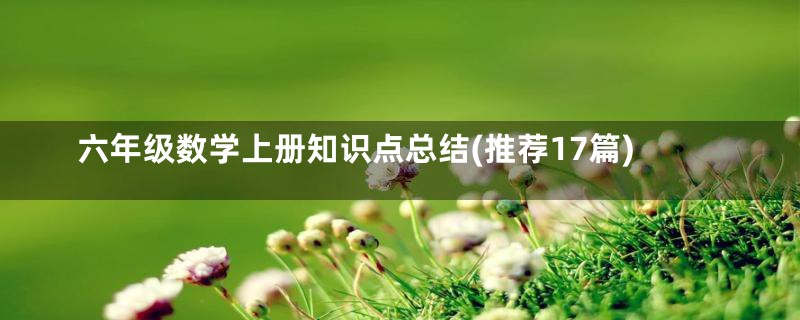 六年级数学上册知识点总结(推荐17篇)