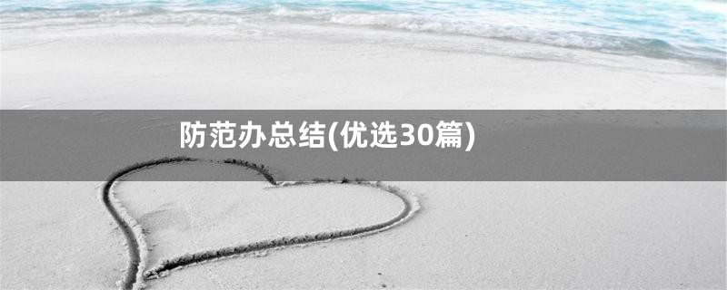 防范办总结(优选30篇)