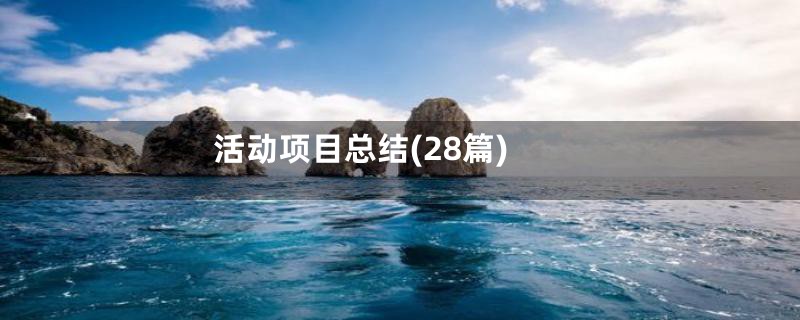 活动项目总结(28篇)