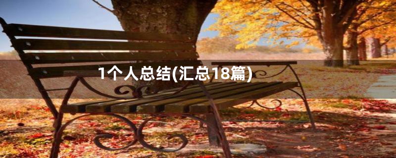 1个人总结(汇总18篇)