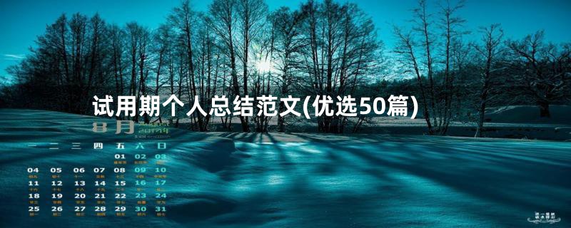 试用期个人总结范文(优选50篇)