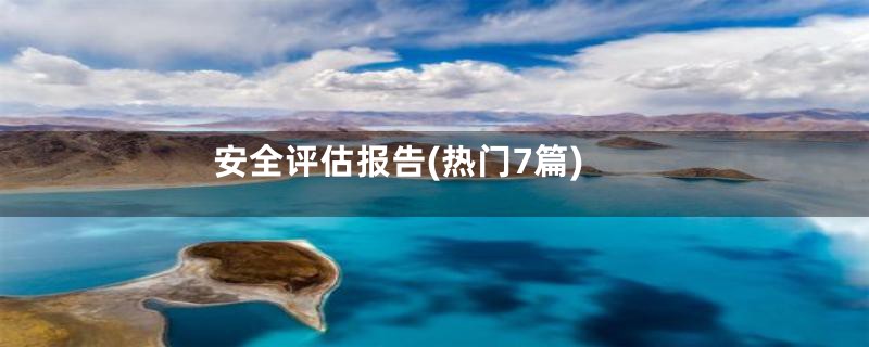 安全评估报告(热门7篇)