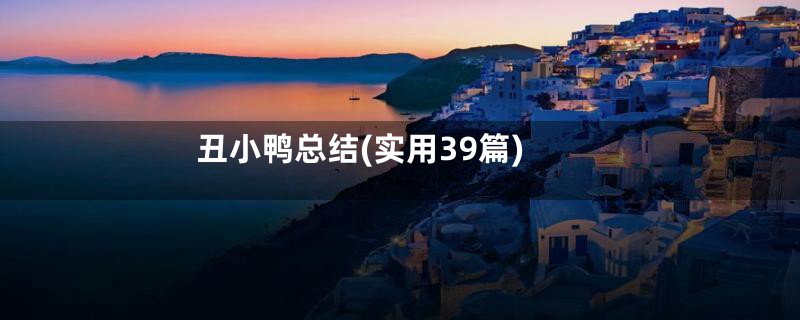 丑小鸭总结(实用39篇)