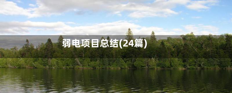 弱电项目总结(24篇)