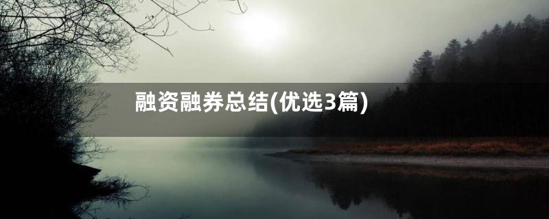 融资融券总结(优选3篇)