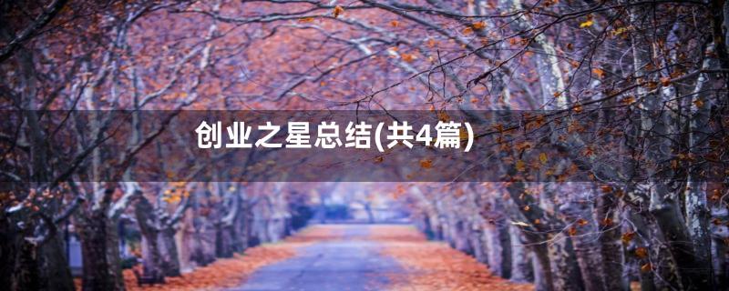 创业之星总结(共4篇)