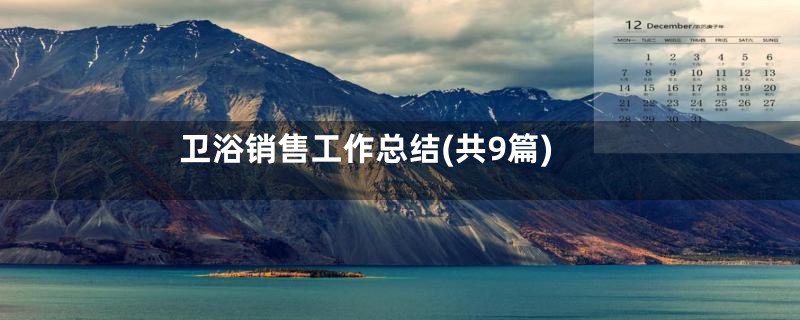 卫浴销售工作总结(共9篇)