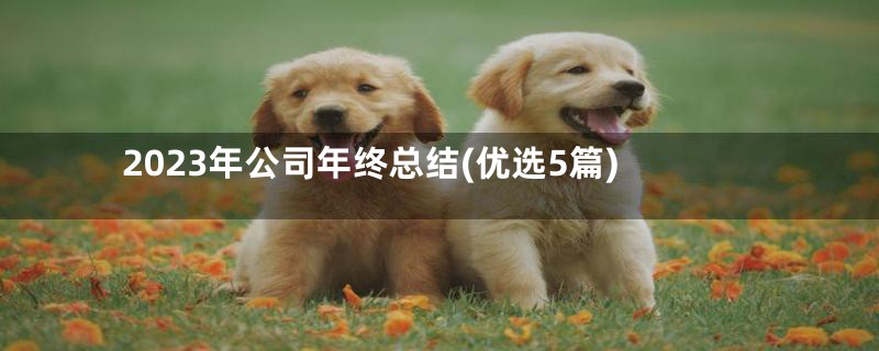 2023年公司年终总结(优选5篇)