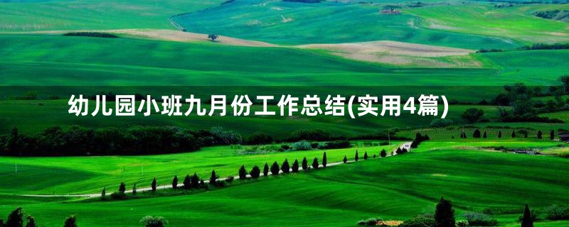 幼儿园小班九月份工作总结(实用4篇)