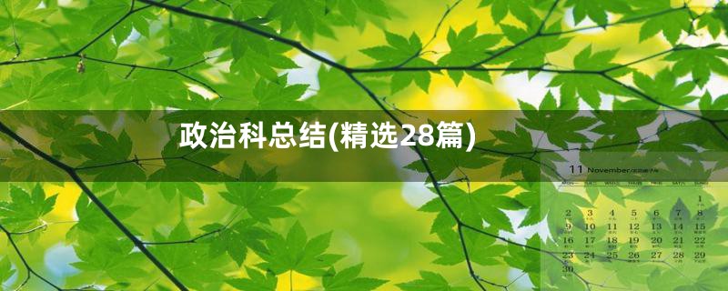 政治科总结(精选28篇)
