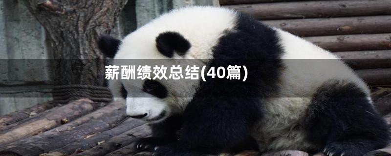 薪酬绩效总结(40篇)