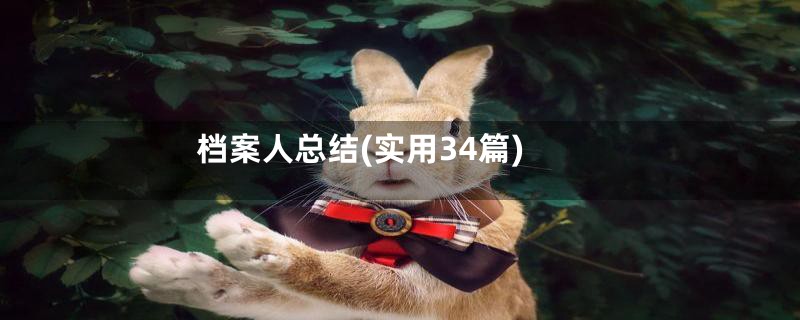 档案人总结(实用34篇)