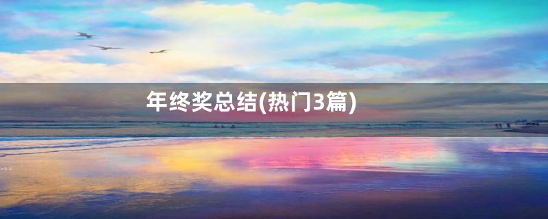 年终奖总结(热门3篇)