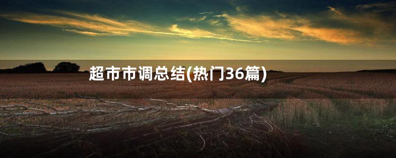 超市市调总结(热门36篇)