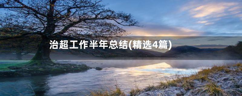 治超工作半年总结(精选4篇)