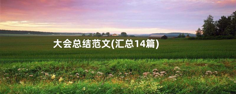 大会总结范文(汇总14篇)
