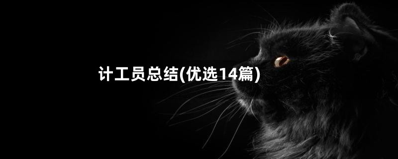 计工员总结(优选14篇)