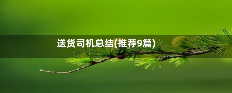 送货司机总结(推荐9篇)