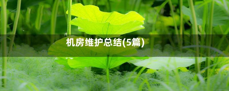 机房维护总结(5篇)