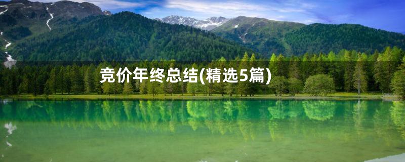 竞价年终总结(精选5篇)