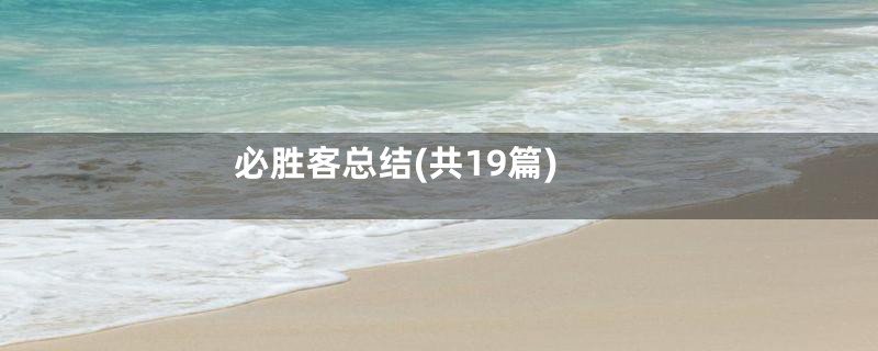 必胜客总结(共19篇)