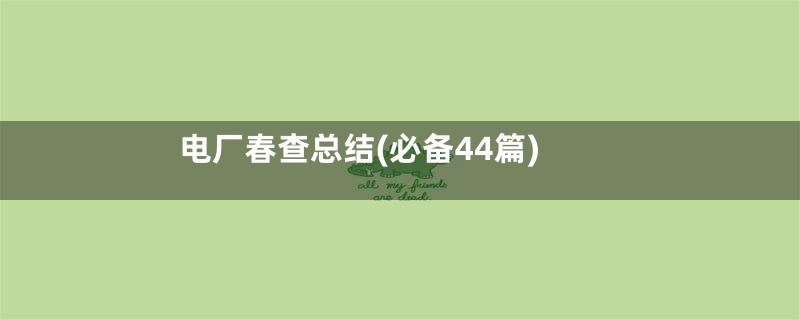 电厂春查总结(必备44篇)