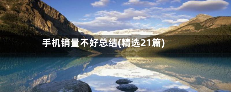 手机销量不好总结(精选21篇)