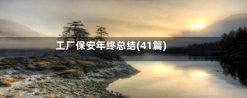 工厂保安年终总结(41篇)