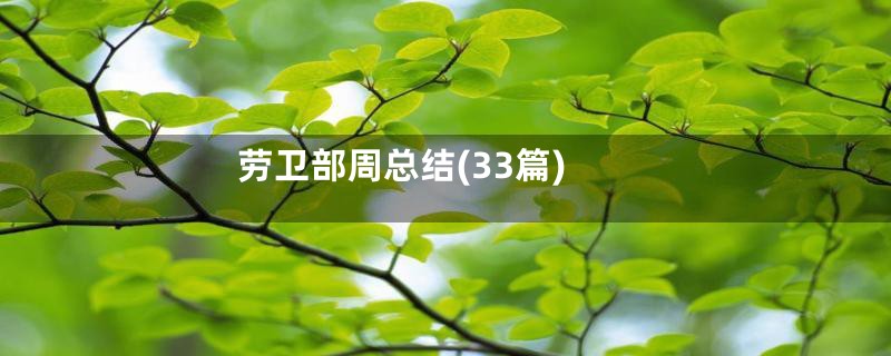 劳卫部周总结(33篇)