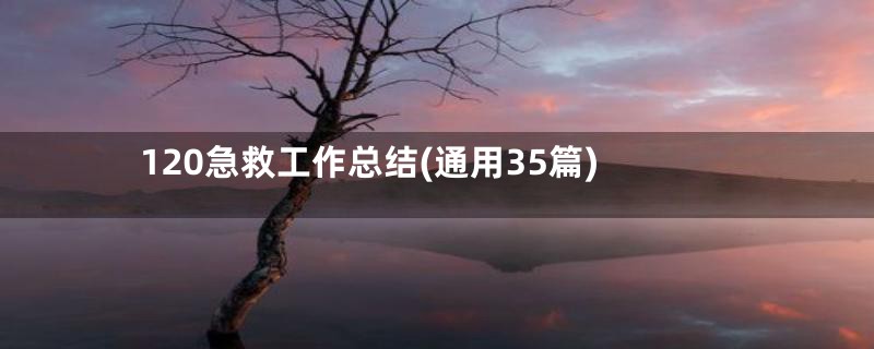 120急救工作总结(通用35篇)