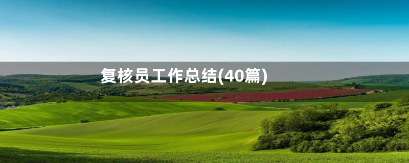 复核员工作总结(40篇)