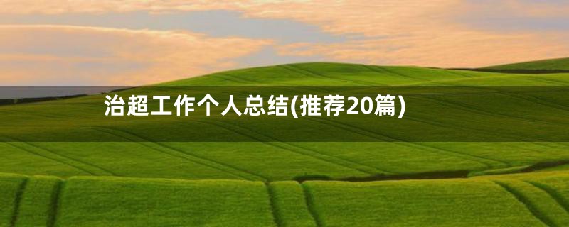 治超工作个人总结(推荐20篇)