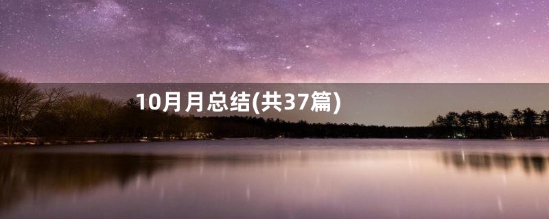 10月月总结(共37篇)