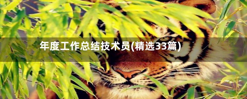 年度工作总结技术员(精选33篇)