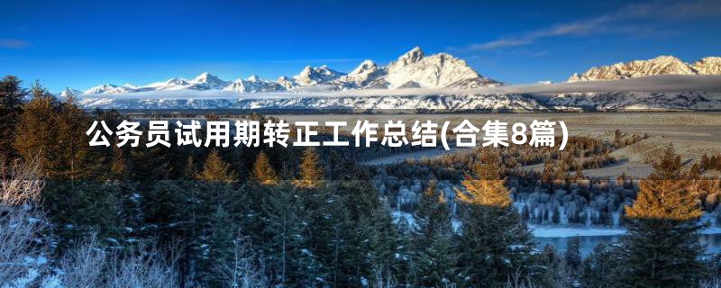 公务员试用期转正工作总结(合集8篇)