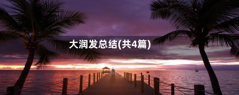大润发总结(共4篇)