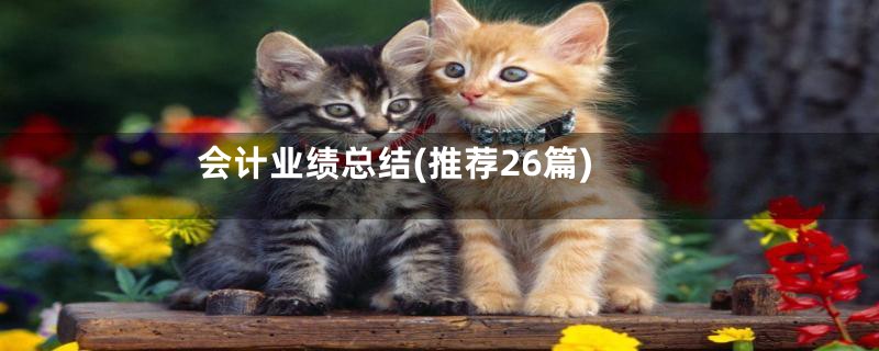 会计业绩总结(推荐26篇)