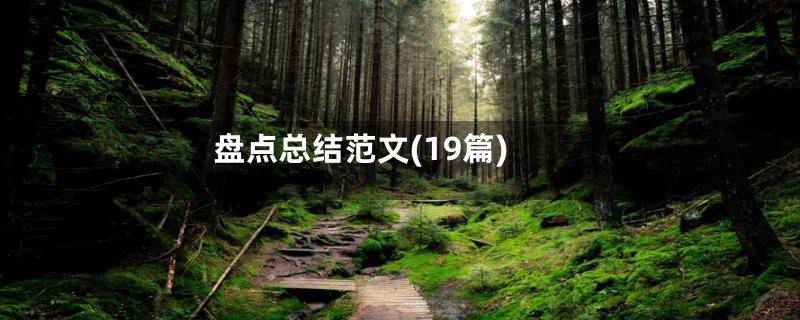 盘点总结范文(19篇)