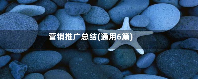 营销推广总结(通用6篇)