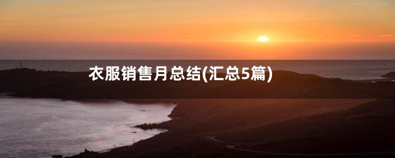 衣服销售月总结(汇总5篇)